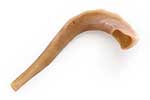 Curved shofar made from a ram's horn against a white background, resonating with brass instruments.