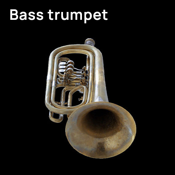 Close-up of a bass trumpet on a black background, showcasing its brass construction, valves, and flared bell.