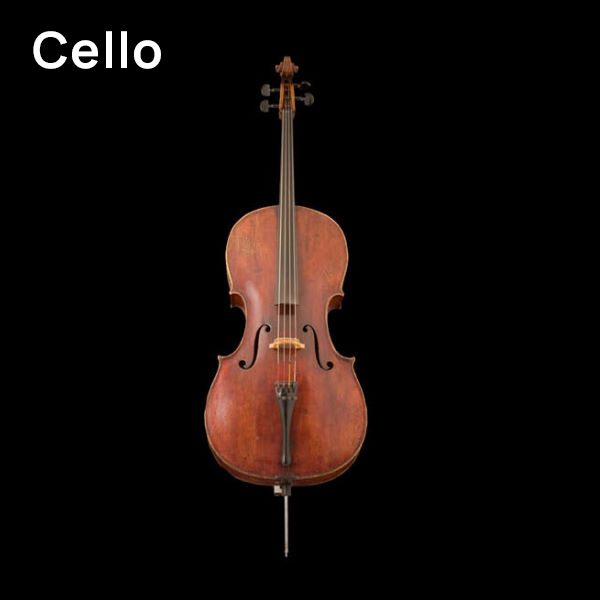 A full-length vertical shot of a dark brown violoncello or cello, a large string instrument, standing against a black background. The wooden instrument features a scroll, pegbox, neck, and f-holes visible on its body.