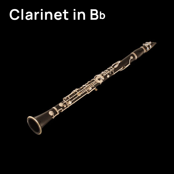 Black professional Bb clarinet with silver keys against a dark background, showing the full instrument.