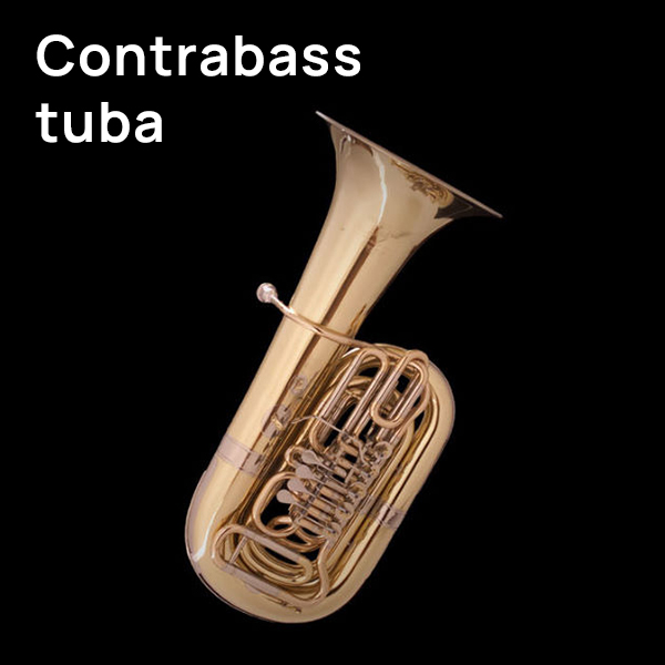 Shiny brass contrabass tuba with valves and tubing on a black background