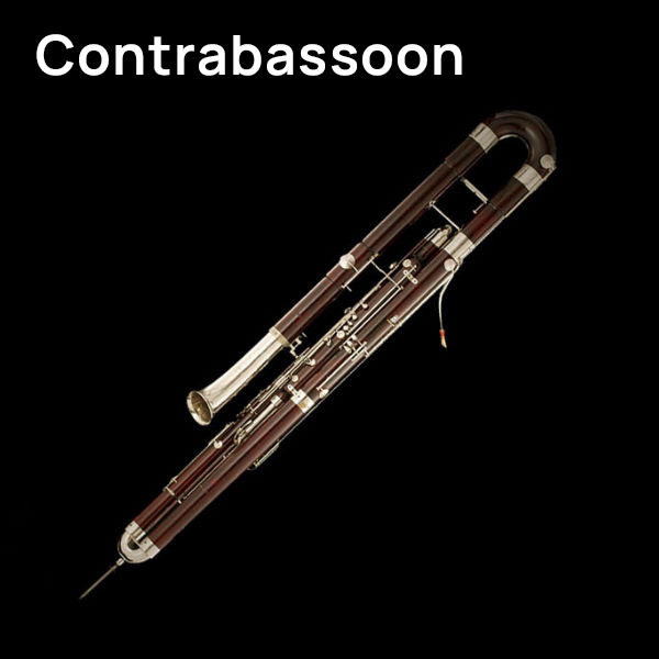 Full view of a contrabassoon, a dark woodwind instrument with silver keys and a curved top, set against a black background.