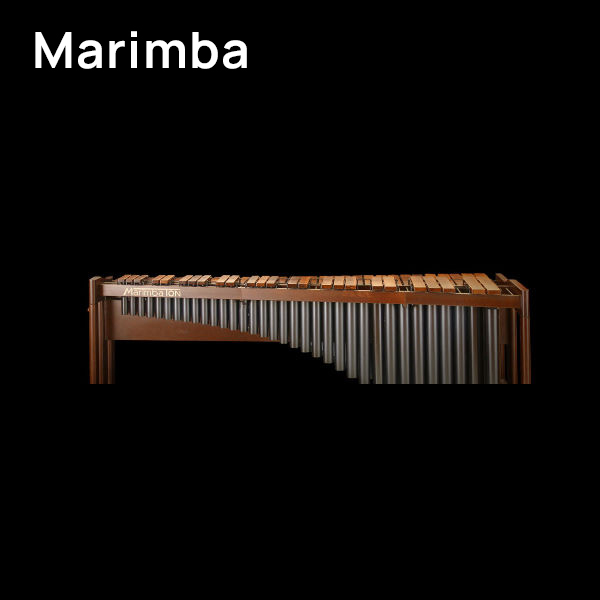 A marimba musical instrument with wooden bars and metal resonator tubes against a black background