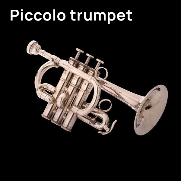 Silver B-flat piccolo trumpet against a black background