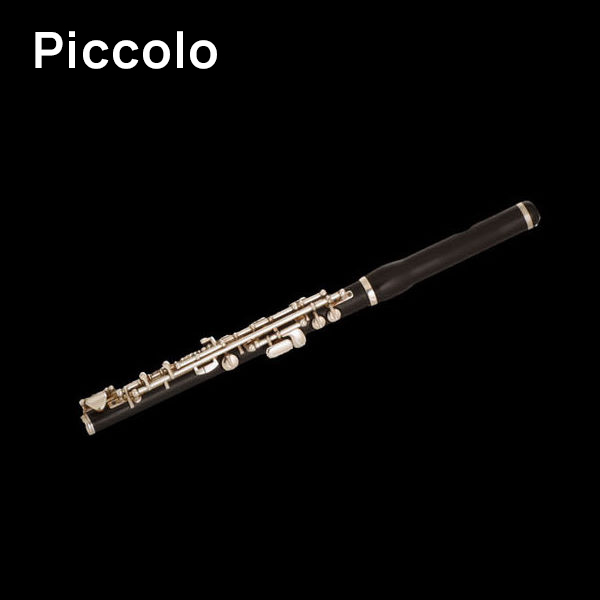 Black wooden piccolo flute with silver keys on a dark background.