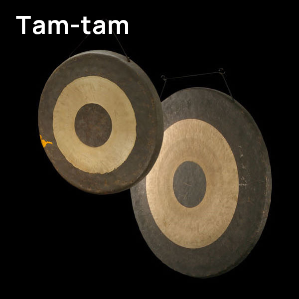 Two circular tam-tam gongs, one slightly smaller and overlapping, with dark centers and light outer rings, hanging against a black background.