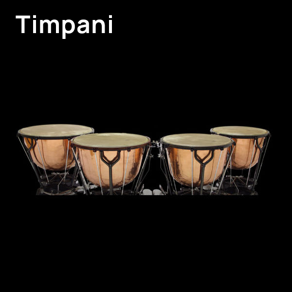 Four copper timpani, also known as Pauken or kettle-drums, with light-colored heads, on dark stands, arranged in a row against a black background.