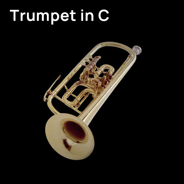 Brass Trumpet in C, musical instrument, wind instrument, musical equipment