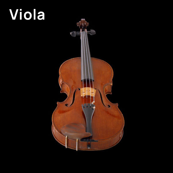 Wooden viola string instrument on a black background.