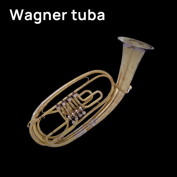 Full view of a shiny gold Wagner tuba against a black background, showcasing its unique oval shape, coiled tubing, and valve section.