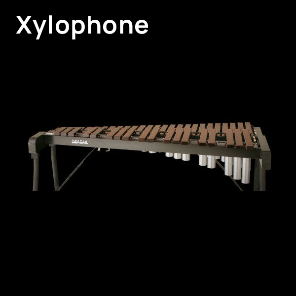 Xylophon, showing a Deagan concert xylophone musical instrument with wooden bars and metal resonators, an idiophone.
