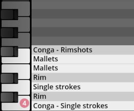 Digital piano roll displaying percussion instrument articulations like Conga Rimshots, Mallets, Rim, and Single Strokes, mapping sounds to keys.