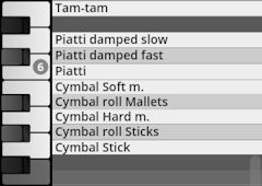 Close-up of a digital piano roll interface displaying a list of percussion sounds like Tam-tam, Piatti (damped slow, fast, and regular), and various Cymbals (soft, hard, roll with mallets or sticks, and stick).