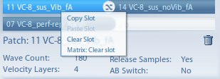 Vienna MIR PRO Preferences