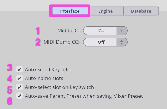 Interface Settings