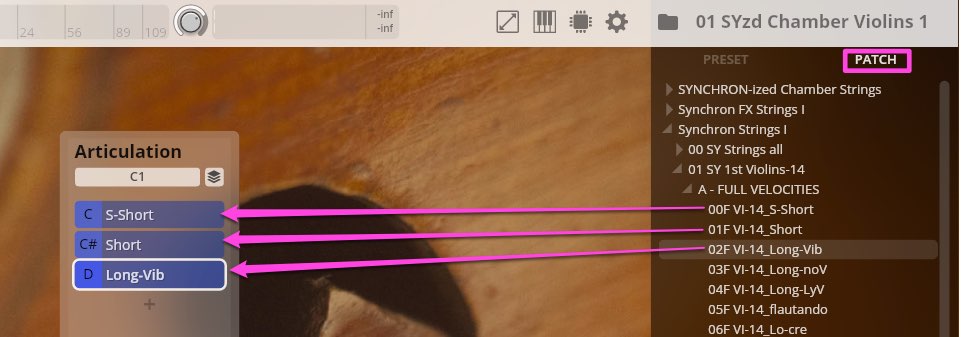 Interface Settings