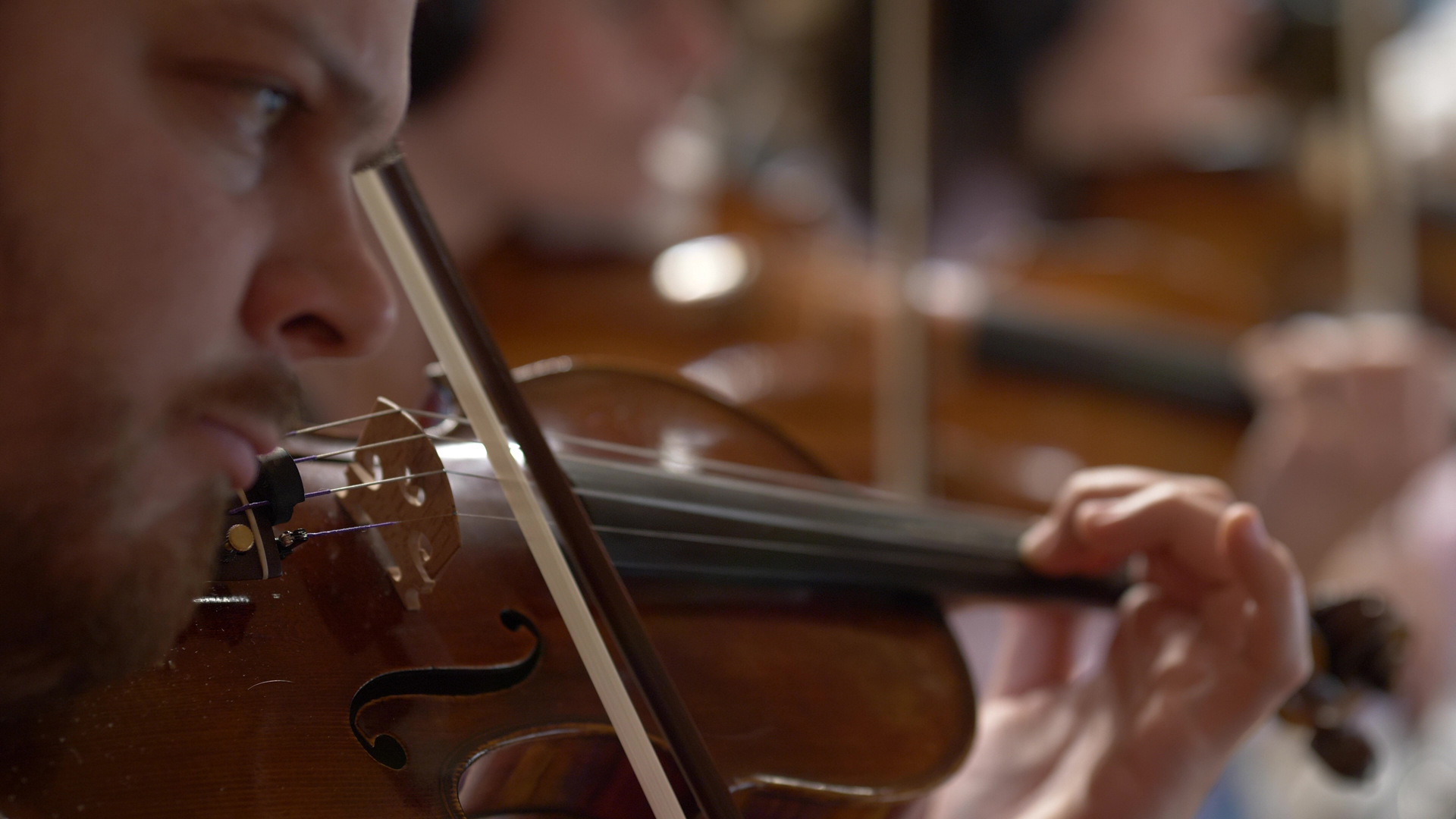 Close-up of a man with a beard playing a brown violin with a bow, focused on the strings and his left hand, other musicians blurred in the background.