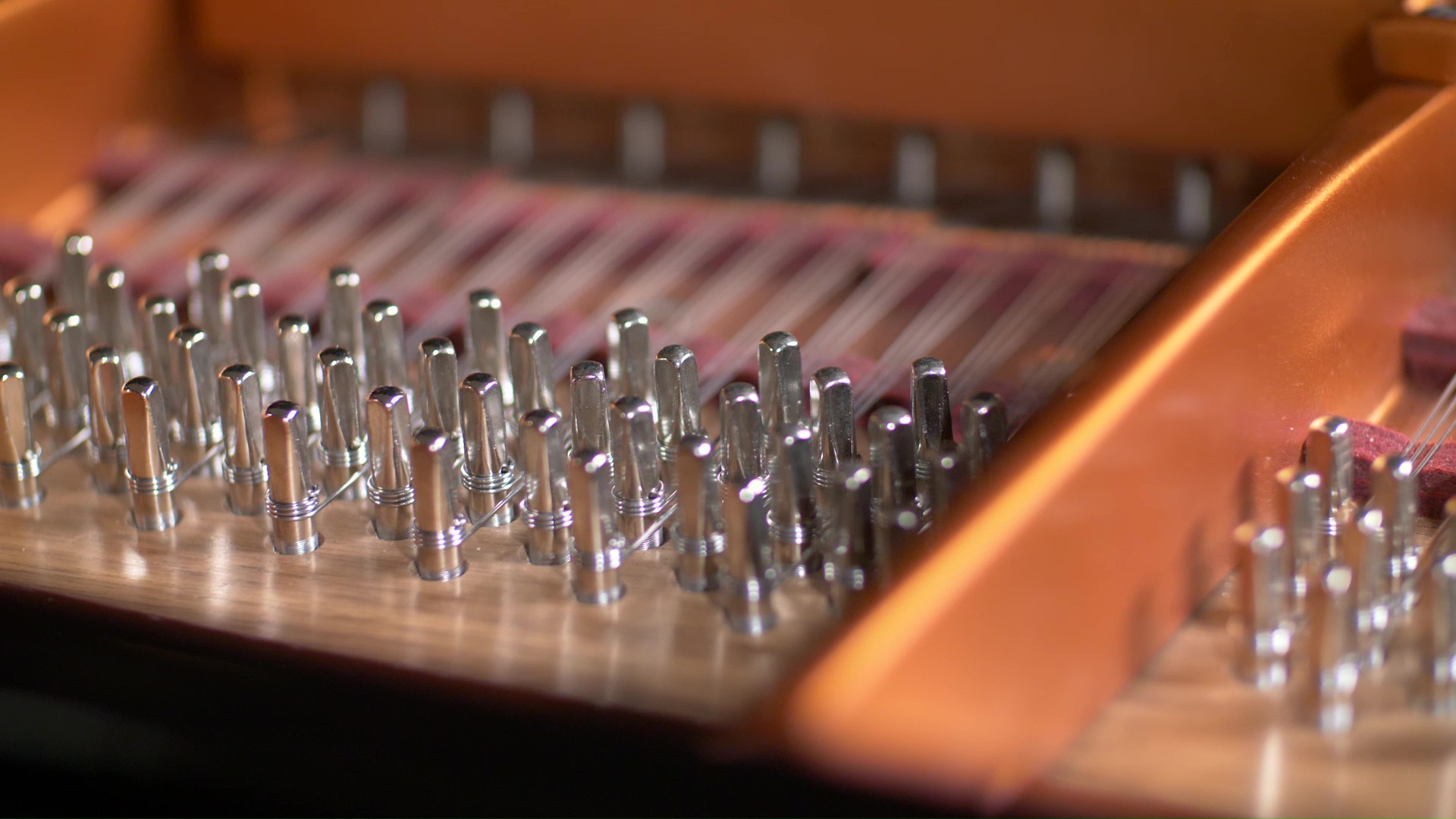 Close-up view inside a musical instrument, showing many metal tuning pins in rows with thin strings attached, likely from a harp, dulcimer, or piano.