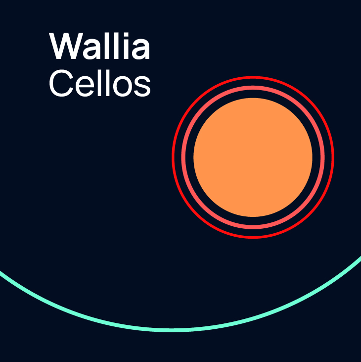Wallia Cellos logo on a dark background with an orange circle outlined in red and pink, featuring a light blue curved line in the bottom left corner