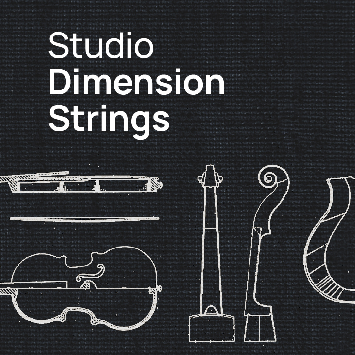 Text Studio Dimension Strings above schematics of violin parts, including the body, neck, and scroll, on a dark textured background.