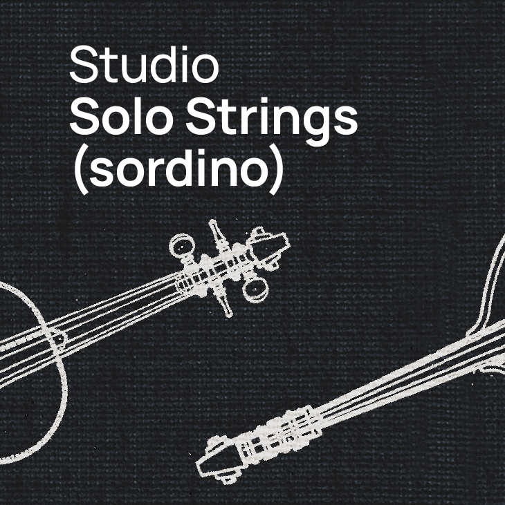 Text overlay Studio Solo Strings (sordino) with white outline illustrations of string instruments on a dark textured background