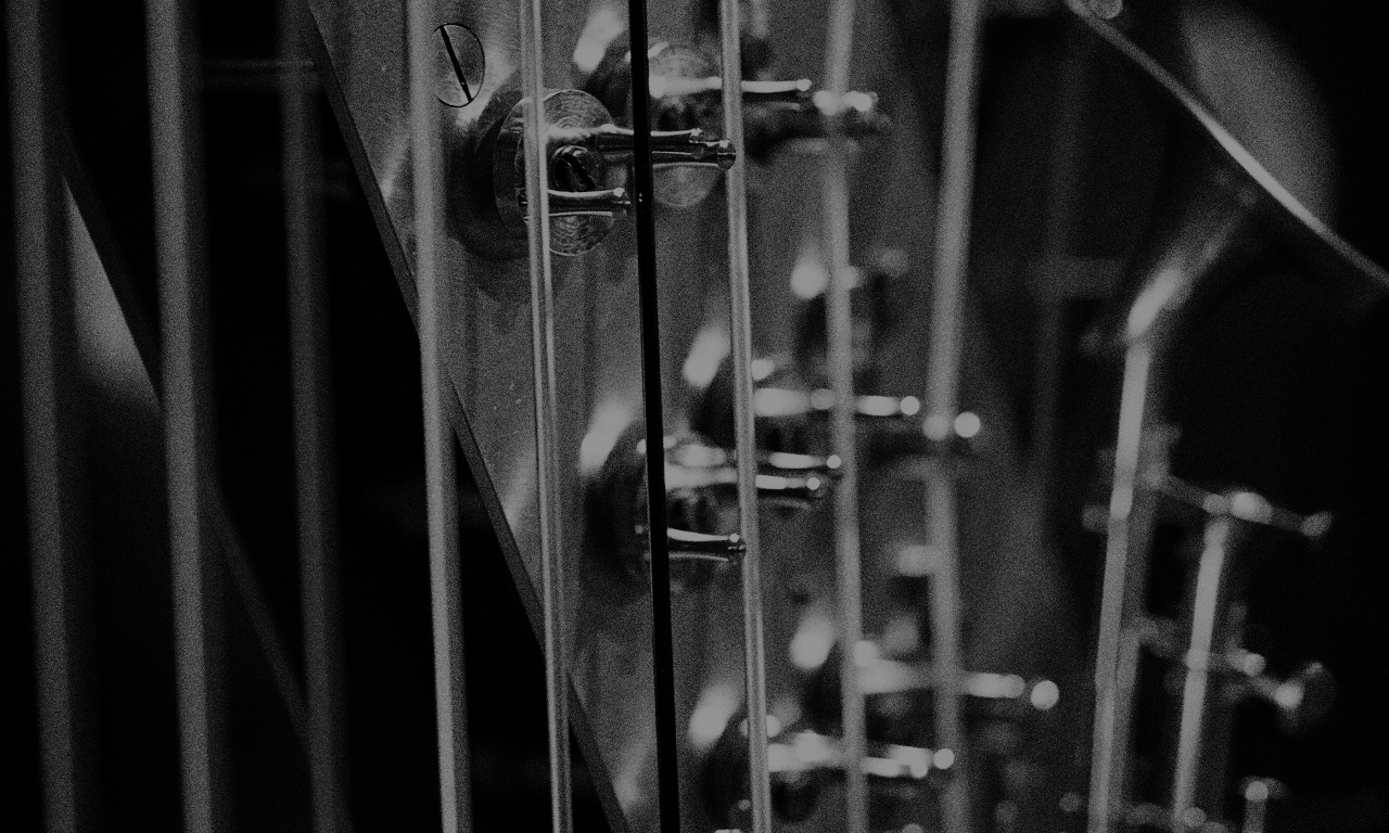 Close-up, black and white image of a stringed musical instrument, possibly a harp or piano, focusing on its tuning pins, strings, and the intricate mechanisms that produce sound.