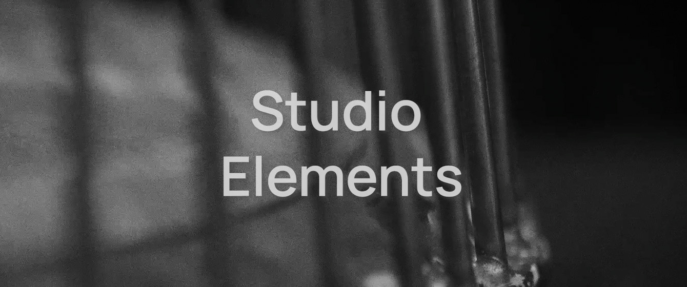 Grayscale background with Studio Elements text, demonstrating how crops appear on the original image.
