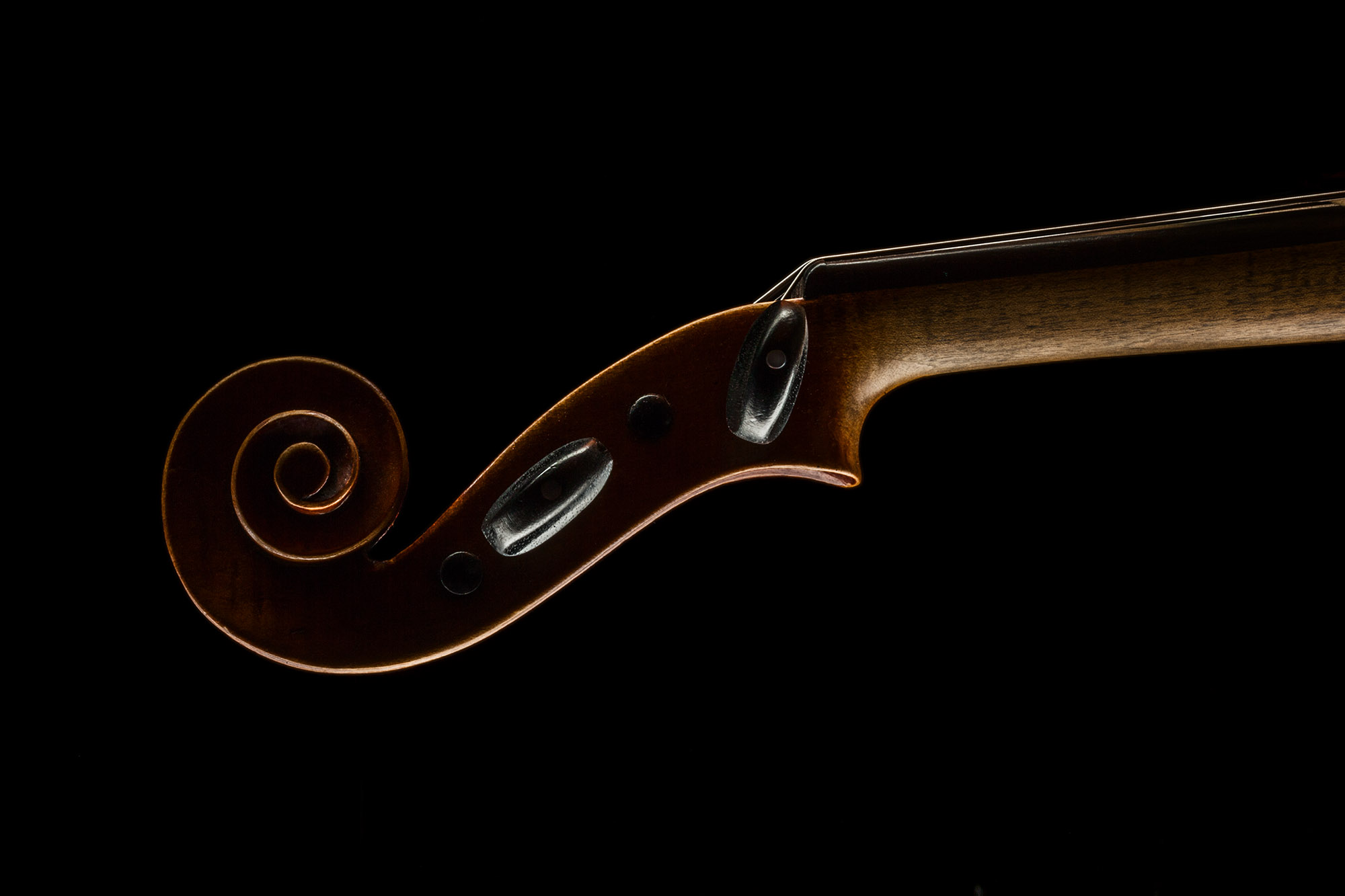 Dark wood violin scroll, pegbox, and neck on a black background, highlighting the craftsmanship of the musical instrument.
