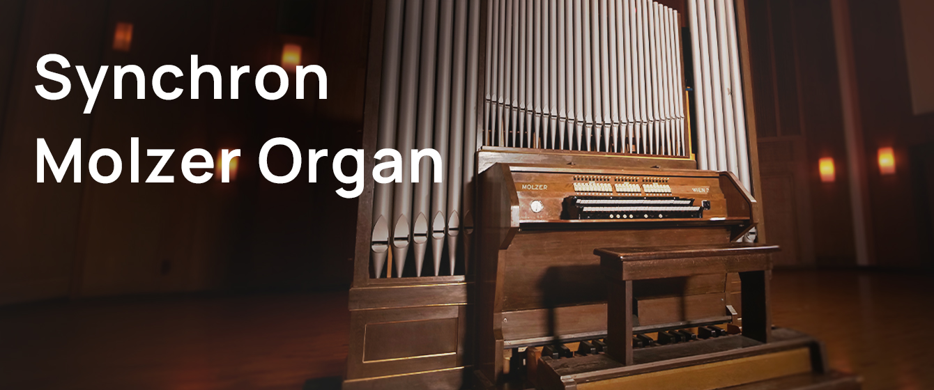 Synchron Molzer Organ with visible pipes and console, illuminated interior space, musical instrument, Vienna Symphonic Library
