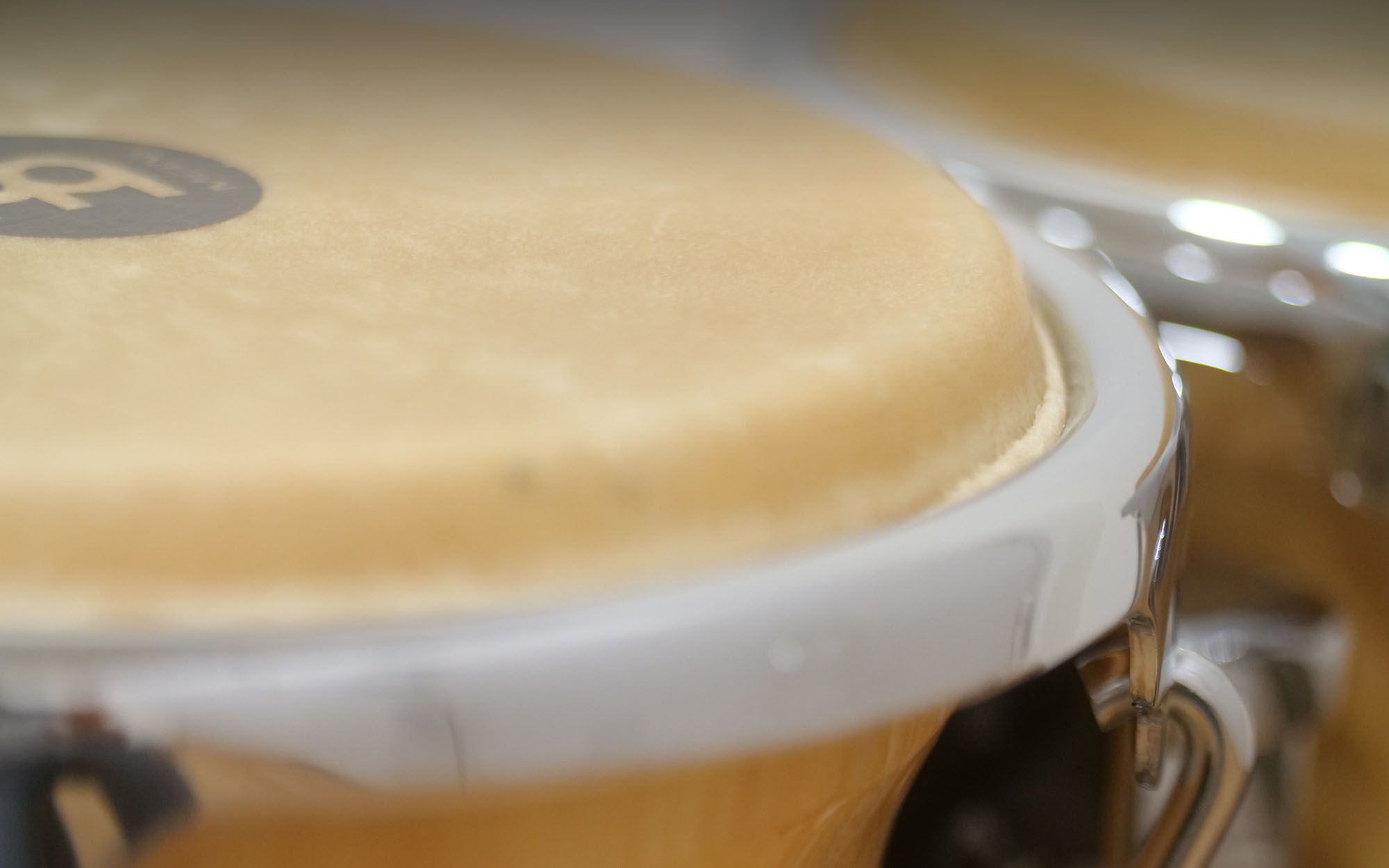 Close up of a bongo drum featuring a light tan drumhead, possibly with a brand logo, and shiny chrome hardware.