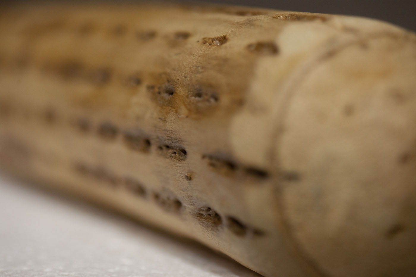 Close-up view of an ancient bone cylinder or roll with rows of carved indentations, possibly for counting or recording.