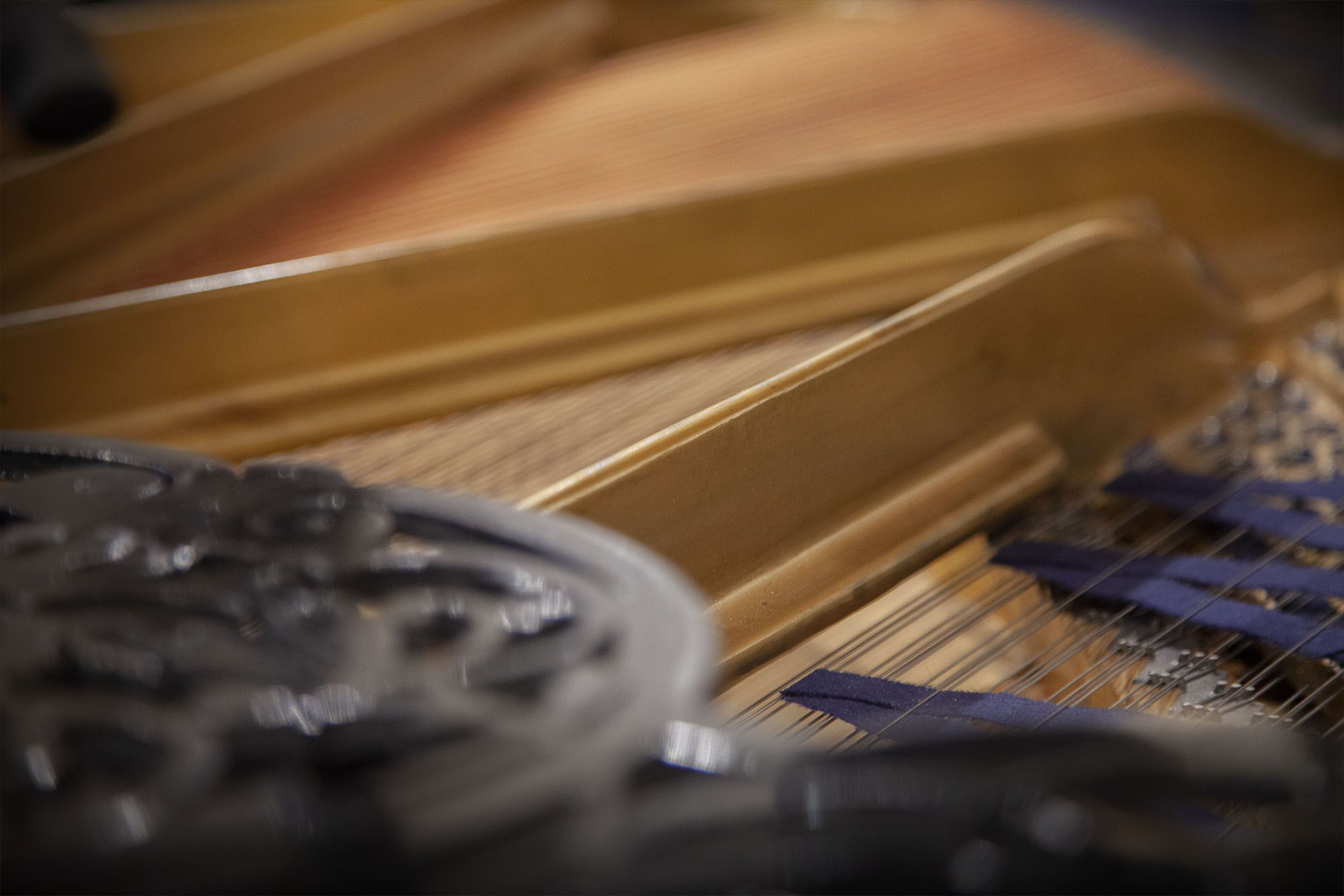 Close-up of grand piano interior showing strings, hammers, and wooden soundboard.