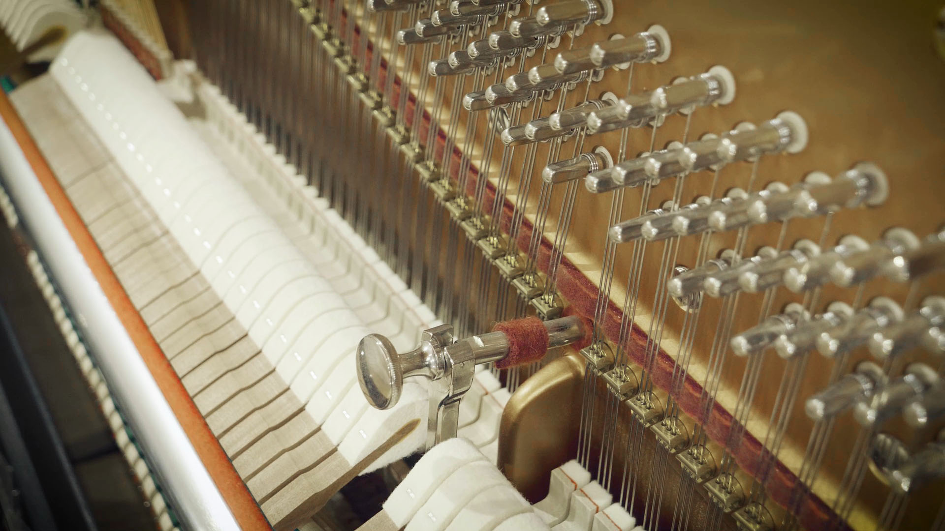 Up-close interior view of a piano's strings, hammers, and damper mechanism.