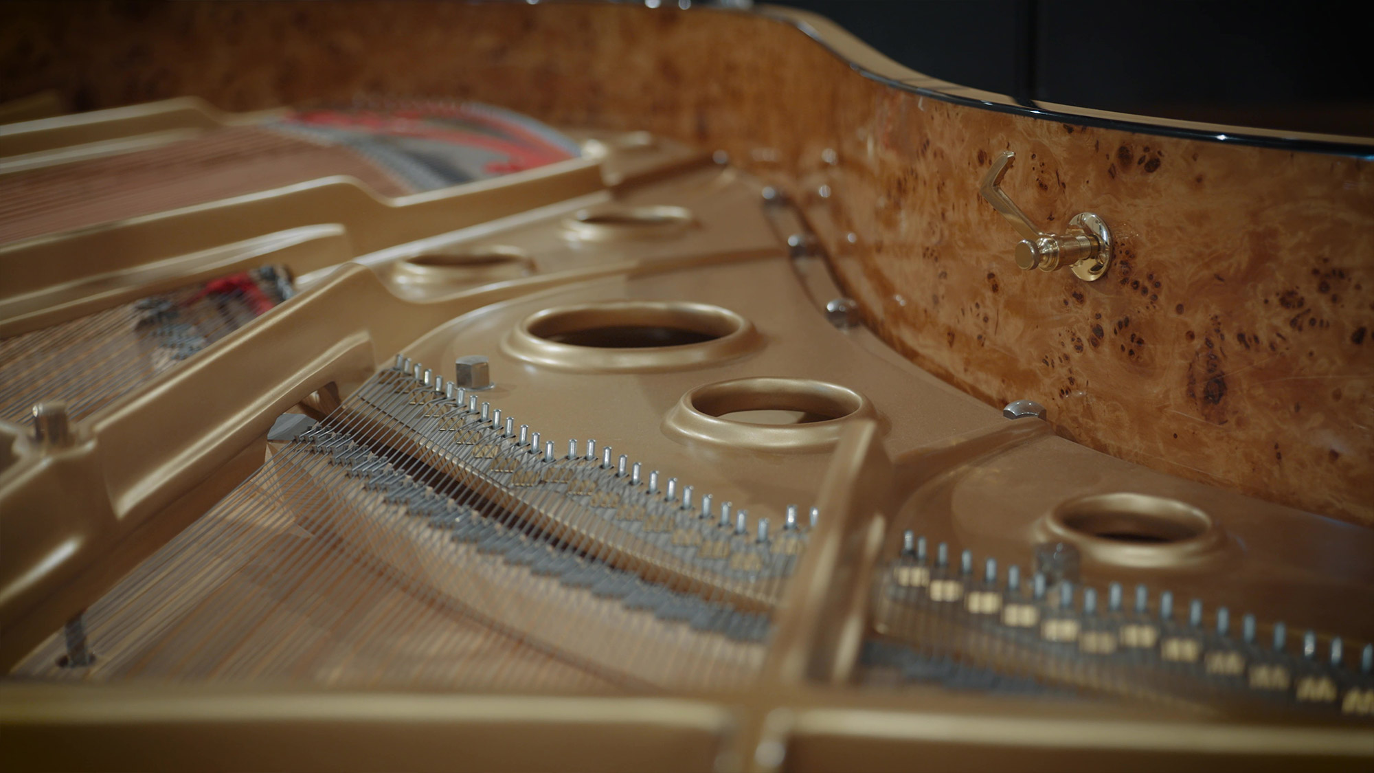 Close-up of the Fazioli F212 grand piano's interior, showing strings, soundboard, and gold harpsichord accents.
