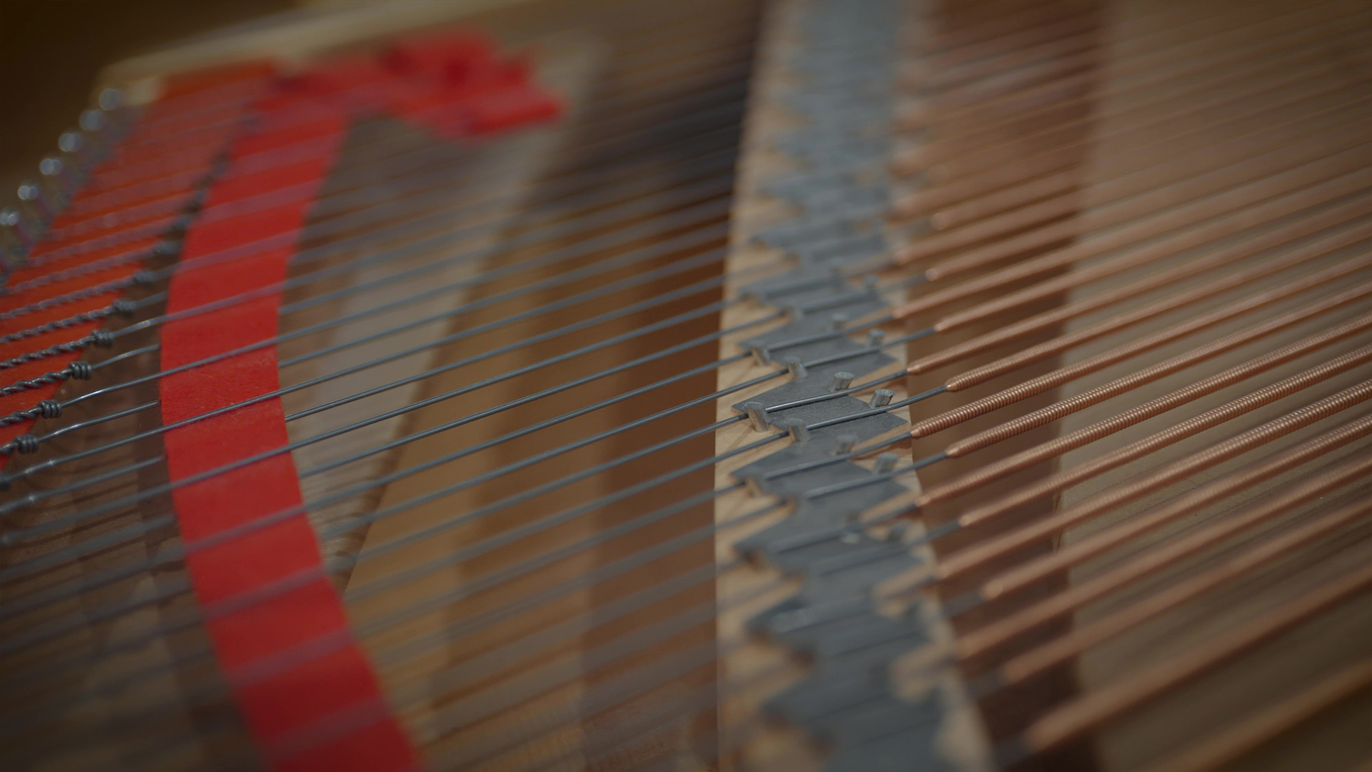 Close-up view of Fazioli F212 grand piano strings, hammers, and dampers, highlighting the instrument's intricate inner mechanism.