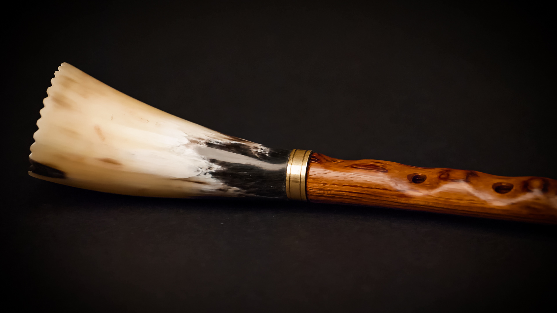 Close-up on a traditional wind instrument, a hornpipe, featuring a polished wooden body with finger holes and a brass band connecting to a light-colored, patterned animal horn bell on a dark background.