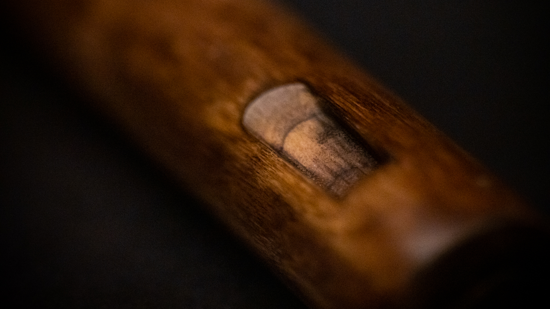 Close-up of a brown wooden handle with a light-colored, slightly worn cylindrical insert in the center.