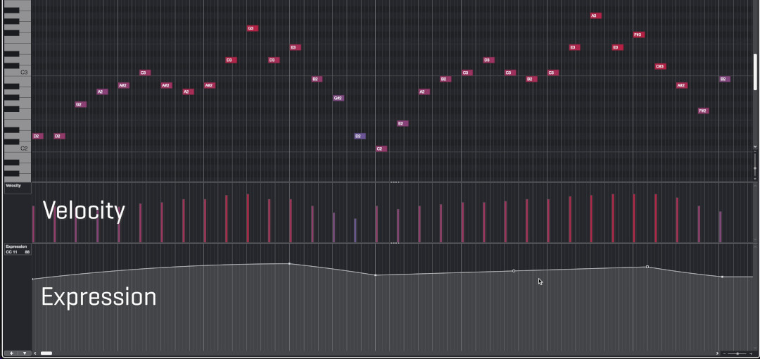 A digital audio workstation (DAW) screen showing midi notes on a piano roll, velocity bars, and expression automation for instrument sounds like bassoon and flute.
