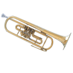 Brass flugelhorn musical instrument with valves and mouthpiece.